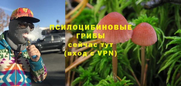 прущий лед Аркадак